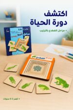 ⁦لعبة مراحل نمو الضفدع الخشبية من دار القمر موديل 564⁩ - الصورة ⁦2⁩