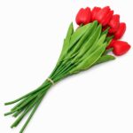 باقة ورد توليب حمراء 10 وردات - موديل 16403