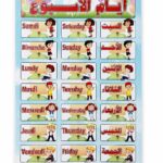 لوحة وايت بورد تعليمية أيام الأسبوع 50*70 سم - 4502