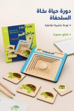 ⁦وسائل دار القمر التعليمية مراحل نمو السلحفاة الخشبية - موديل 566⁩ - الصورة ⁦2⁩