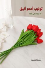 ⁦باقة ورد توليب حمراء 10 وردات - موديل 16403⁩ - الصورة ⁦2⁩