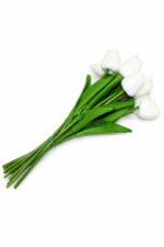 باقة ورد توليب بيضاء 10 ورود - موديل 8621982