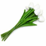 باقة ورد توليب بيضاء 10 ورود - موديل 8621982