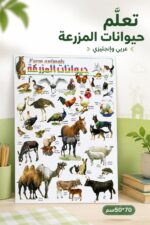 ⁦لوحة وايت بورد تعليمية حيوانات المزرعة 50*70سم موديل 4505⁩ - الصورة ⁦2⁩