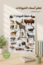 ⁦لوحة وايت بورد تعليمية حديقة الحيوانات 50×70 سم - 4506⁩ - الصورة ⁦2⁩