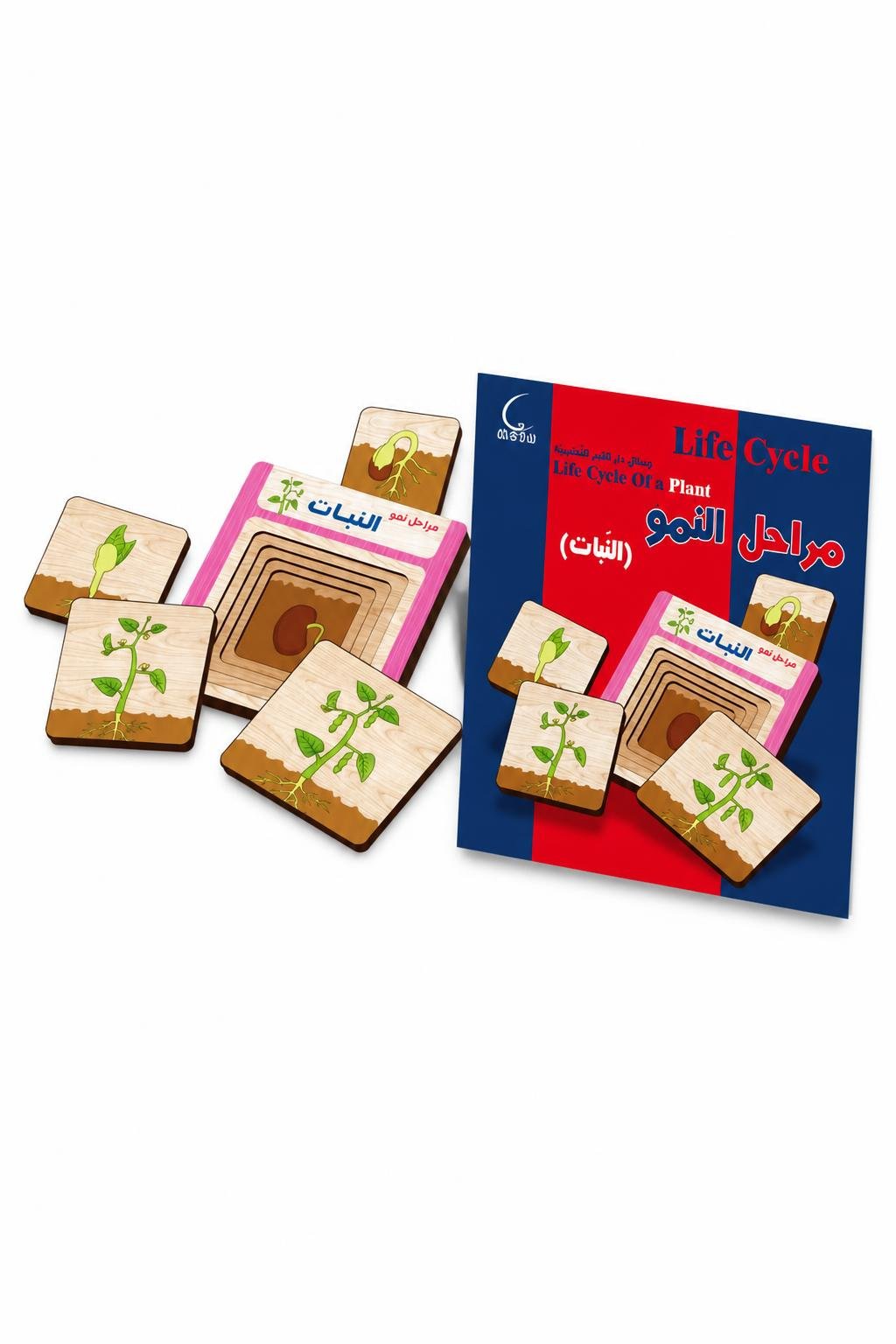 65b4b072-4327-47a0-b6f1-bf4fea47ae50.jpg لعبة تعليمية خشبية مراحل نمو النبات 20001 موديل 562 - الصورة 1