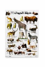 لوحة وايت بورد تعليمية حديقة الحيوانات 50×70 سم - 4506