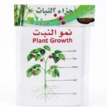 بطاقات تعليمية لأجزاء النبات 9 بطاقات - موديل 7545928