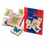 لعبة مراحل نمو الفراشة الخشبية للأطفال 3-5 سنوات - موديل 563