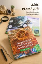 ⁦موسوعة الصخور والمستحاثات والأحجار الكريمة 6364⁩ - الصورة ⁦2⁩