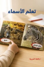 ⁦مجموعة صور حيوانات من العالم 4 كتيبات - موديل 13446⁩ - الصورة ⁦3⁩