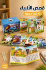 ⁦مجموعة قصص الأنبياء 12 قصة مصورة بكرتون مقوى - 5042292⁩ - الصورة ⁦2⁩