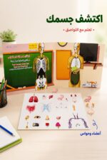 ⁦تعلم مع اللواصق جسم الإنسان والحواس - موديل 659⁩ - الصورة ⁦2⁩