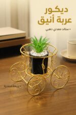 ⁦زريعة صمدية مع ستاند معدني ذهبي بشكل عرباية - 15548⁩ - الصورة ⁦2⁩